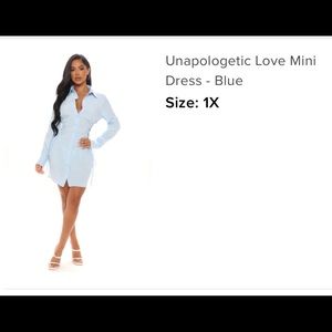 Fashion Nova Mini Dress